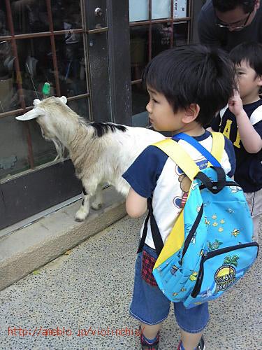 ヴァイオリンとヴィオラと子育ての日々から